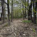 Back 40 Dirt and Timber - Masonry Contractors