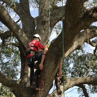 KDT Tree Service - Fern Park, FL