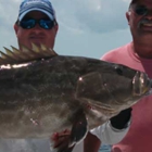 Islamorada  Fishing Source Guide List