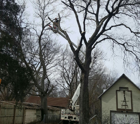 A & M Tree Service & Stump Grinding - Wichita, KS