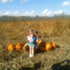 Pine Island Farm gallery