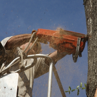 Greenwise Tree Surgeons - Jacksonville, FL