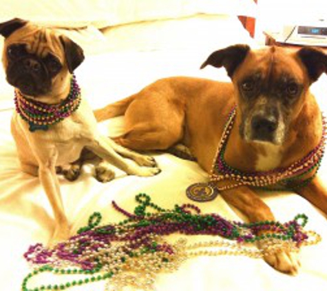 Bourbon Bark Dog Walkers - New Orleans, LA