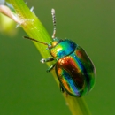 Full Circle Pest Management Inc - Pest Control Equipment & Supplies