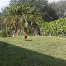 Invisible Fence Brand - Fence-Sales, Service & Contractors