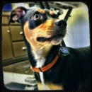 Coal Mountain Animal Hospital - Veterinary Clinics & Hospitals