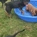 Ruff Tales
