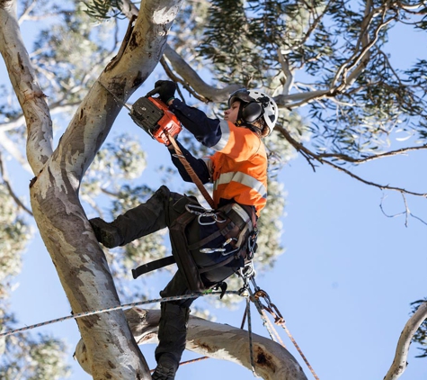Nelson's Tree Services