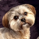 Affordable Mobile Pet Grooming - Mobile Pet Grooming