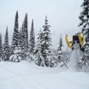 Dream Marine - Snowmobiles