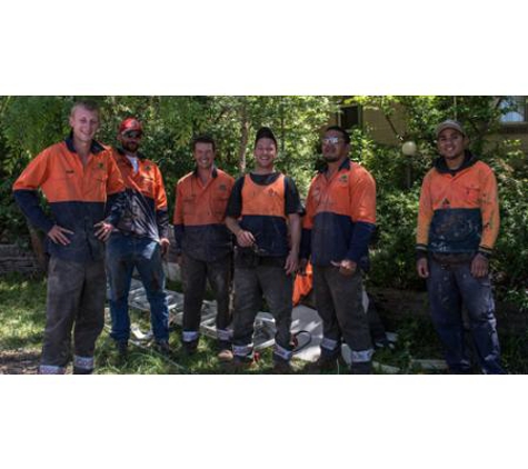 ACT Tree Felling