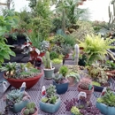 Creekside Garden Center - Garden Centers