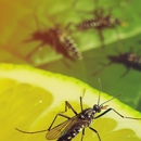 Echo Pest Control - Pest Control Equipment & Supplies