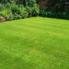 Emerald Lawn Care gallery