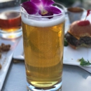 CityBar - Brew Pubs