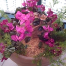 Indoor Garden Centers - Garden Centers