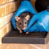 Heartland Pest Control Inc gallery
