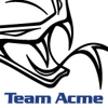 Team Acme gallery