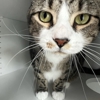 Bonita Boarding Kennel & Pet gallery