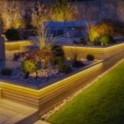 Gallery Image Number 2