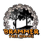 Brammer Tree Service and Stump Removal