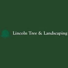 Lincoln Tree & Landscape