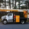 Connecticut Tree Service of Naugatuck, LLC gallery