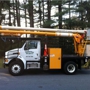 Connecticut Tree Service of Naugatuck, LLC