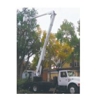 Four Seasons Tree Service gallery