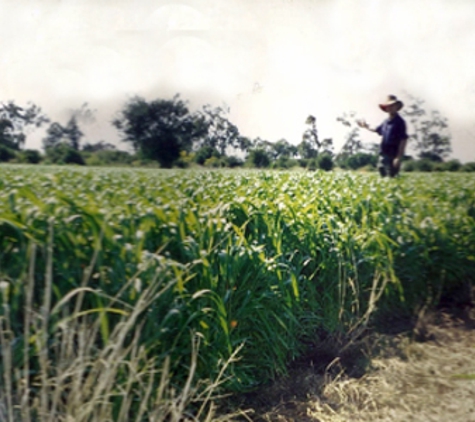 Nature Revival Company Pty Ltd - Dalby, QLD