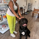 Woof Animal Hospital - Pet Services