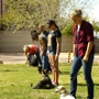 Manners And More Dog Training