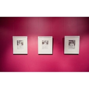 Gallery Image Number 7