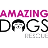Amazing Dogs Rescue gallery