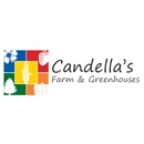 Candella's Farm & Greenhouses - Garden Centers