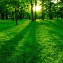 Marco, LLC dba Evergreen Lawn Care & Rainmaker Irrigation