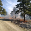 Helena National Forest gallery
