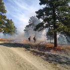 Helena National Forest