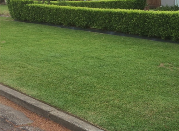 Oasis Lawns & Gardens