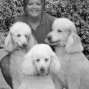 Southern Paws Pet Sitting/Daily Dog Walking - Pet Sitting & Exercising Services