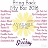 Scentsy Consultant gallery
