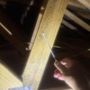 Tampa Bay Mold Testing Company gallery