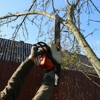 One Tripp Tree Service gallery
