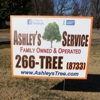 Ashley's Tree Service gallery