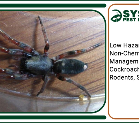 Systems Pest Management Pty Ltd - Thornleigh, NSW. Low Hazard And Non-Chemical Management Of Cockroaches, Ants, Rodents, Silverfish, Etc