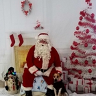 It Takes A Village Canine