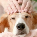 Crystal Intuition - Holistic Practitioners