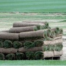 Constantine Turf Farm - Sod & Sodding Service