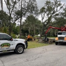 Arbor Bay Tree Service - Tree Service