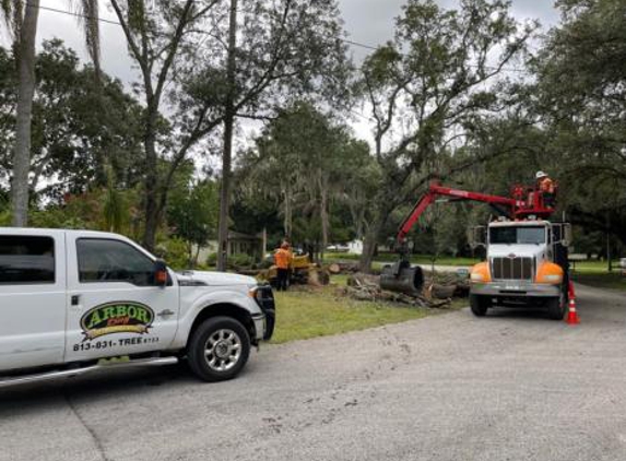 Arbor Bay Tree Service - Tampa, FL